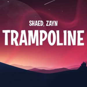 دانلود آهنگ جدید Trampoline از زین – Zayn و Shaed (اجرای مشترک جدید)