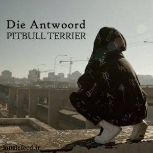 دانلود آهنگ PITBULL TERRIER از گروه آفریقایی Die Antwoord