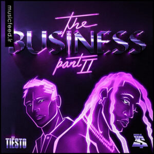 دانلود آهنگ جدید Tiësto و Ty Dolla $ign به نام The Business, Pt. II