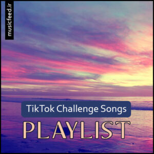 پلی لیست ، بهترین آهنگهای چالش های تیک تاک