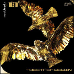 دانلود آلبوم تیستو – Tiësto به نام Together Again