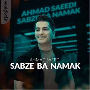 دانلود آهنگ جدید احمد سعیدی به نام سبزه با نمک دانلود آهنگ جدید احمد سعیدی به نام سبزه با نمک