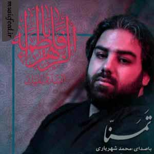 دانلود آهنگ جدید محمد شهریاری به نام تمنا
