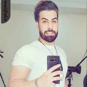 دانلود آهنگ عشق زیادی نمک رو زخمه از مجید رضوی