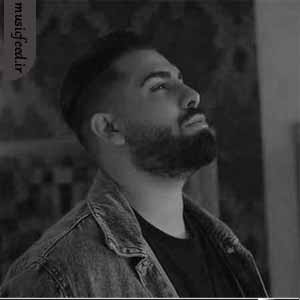 دانلود آهنگ زود به زود تنگ میشه دلم یهو