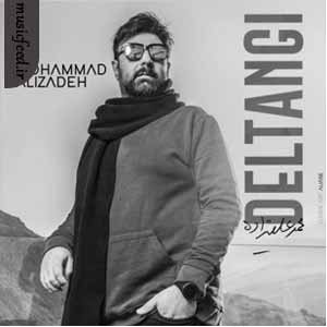 دانلود آهنگ دلتنگی از محمد علیزاده دانلود آهنگ دلتنگی از محمد علیزاده