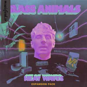 دانلود آهنگ heat waves از Glass Animals