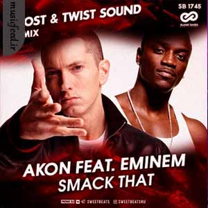 دانلود آهنگ smack that از Akon & Eminem (به همراه نسخه ریمیکس)