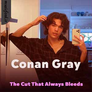 دانلود آهنگ The Cut That Always Bleeds از Conan Gray