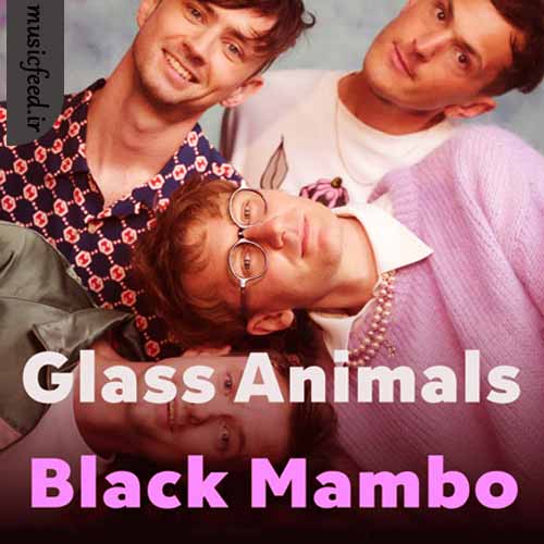 دانلود آهنگ Black Mambo از Glass Animals musicfeed