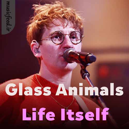 دانلود آهنگ Life Itself از Glass Animals دانلود آهنگ Life Itself از Glass Animals