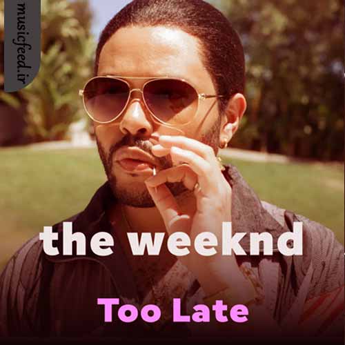 دانلود آهنگ Too Late از The Weeknd