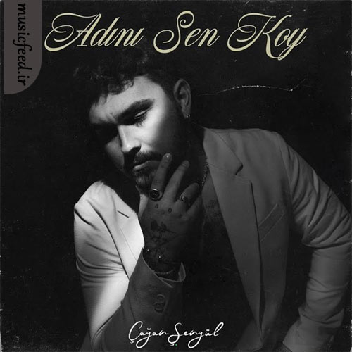 دانلود آهنگ Adını Sen Koy از Çağan Şengül دانلود آهنگ Adını Sen Koy از Çağan Şengül