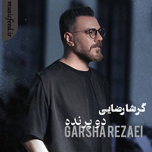 دانلود آهنگ دو پرنده از گرشا رضایی