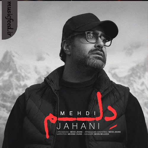 دانلود آهنگ دلم از مهدی جهانی