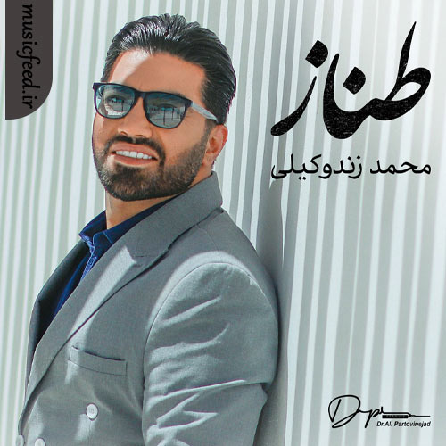 دانلود آهنگ طناز از محمد زند وکیلی