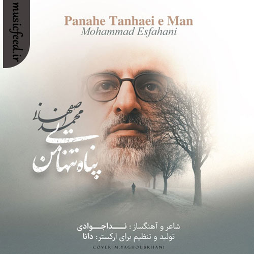 دانلود آهنگ پناه تنهایی من از محمد اصفهانی