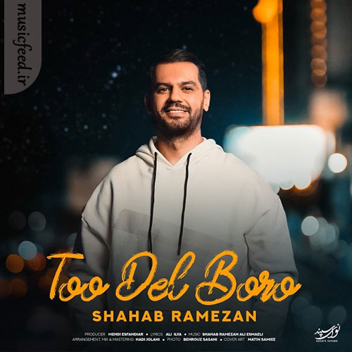 دانلود آهنگ تو دل برو از شهاب رمضان