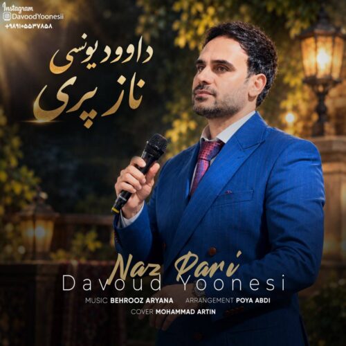 دانلود آهنگ ناز پری از داوود یونسی