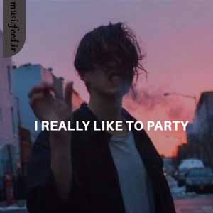دانلود آهنگ I really like to party (ریمیکس تیک تاک)